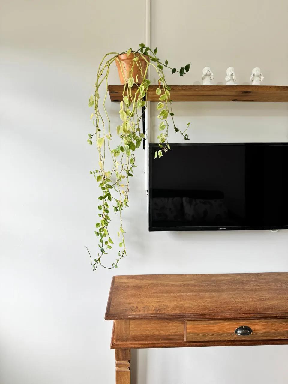 Foto 3 — TG29 - Apartamento de 2 quartos